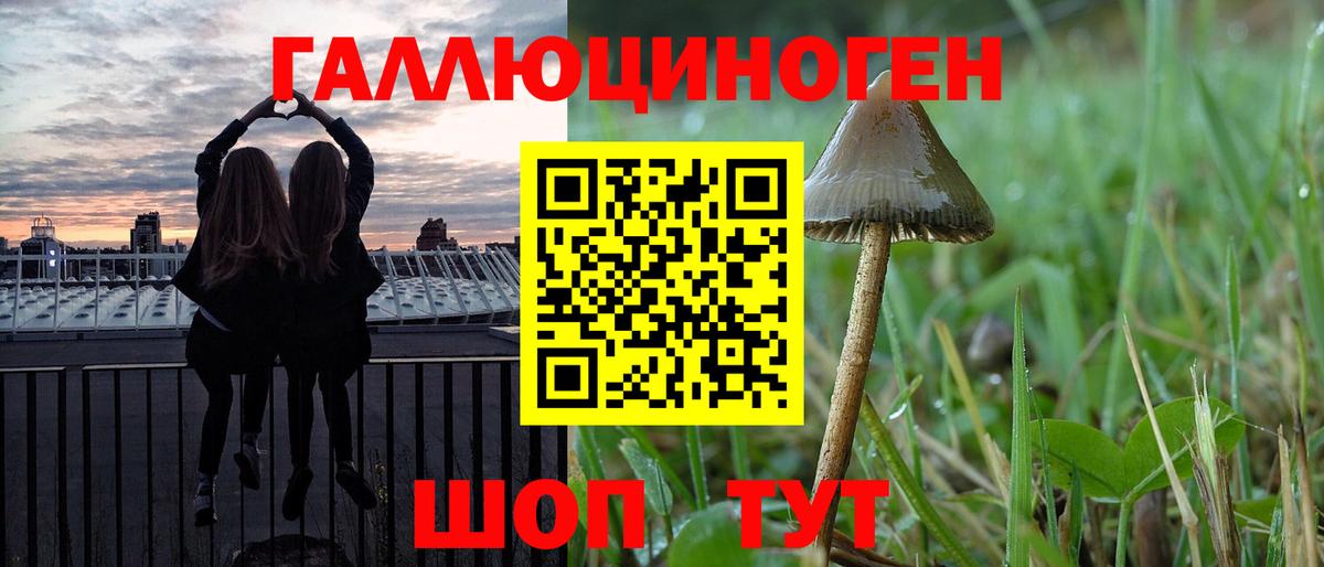 Галлюциногенные грибы Psilocybe Мценск