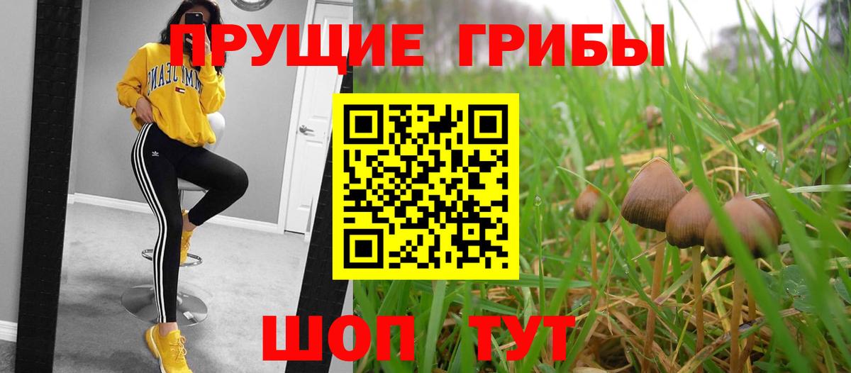 Псилоцибиновые грибы мицелий  Вход с VPN  Мценск 